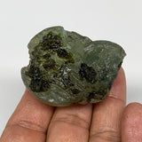 63.6g, 2.7"x1.4"x1" Prehnite With Epidote Inclusion Mineral Specimen, B6935
