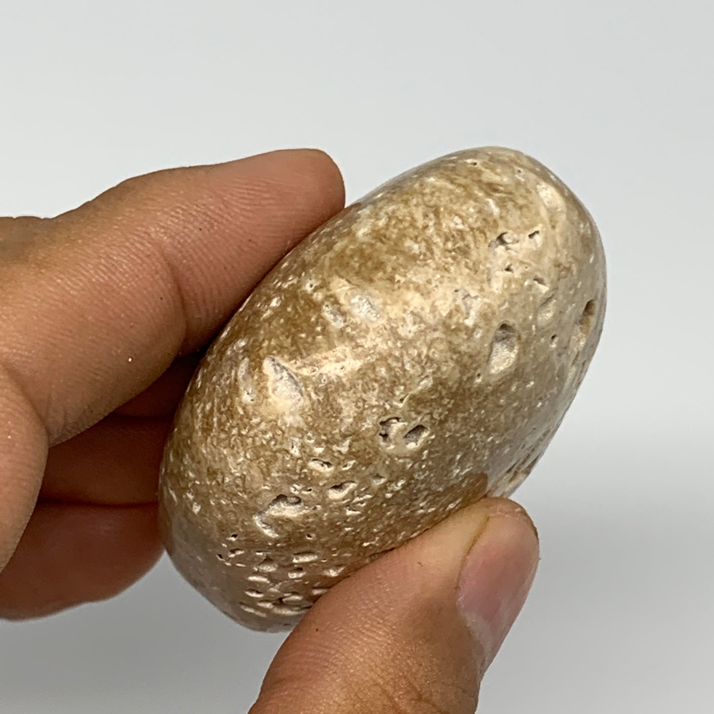 97.3g, 2.2"x1.9"x1", Chocolate Calcite Palm-Stone Reiki @Afghanistan, B14721