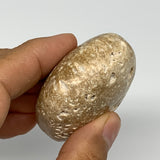 97.3g, 2.2"x1.9"x1", Chocolate Calcite Palm-Stone Reiki @Afghanistan, B14721