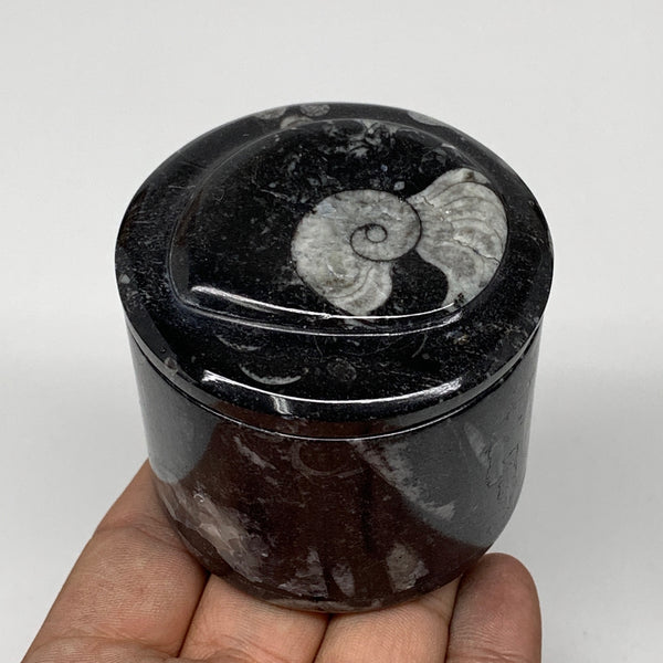 215.4g, 2.1"x2.4" Black Fossils Ammonite Orthoceras Jewelry Box @Morocco,F2507