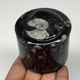 215.4g, 2.1"x2.4" Black Fossils Ammonite Orthoceras Jewelry Box @Morocco,F2507