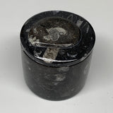 229.9g, 2.3"x2.4" Black Fossils Ammonite Orthoceras Jewelry Box @Morocco,F2508