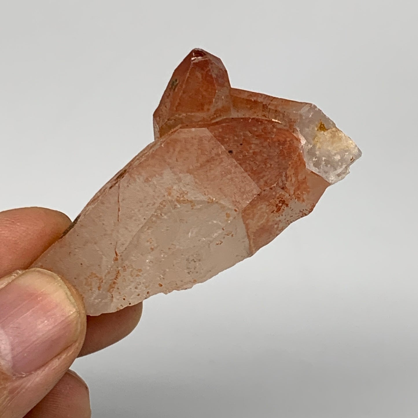 69.3g, 2.2"-2.4", 2pcs, Natural Red Quartz Crystal Terminated @Morocco, B11408