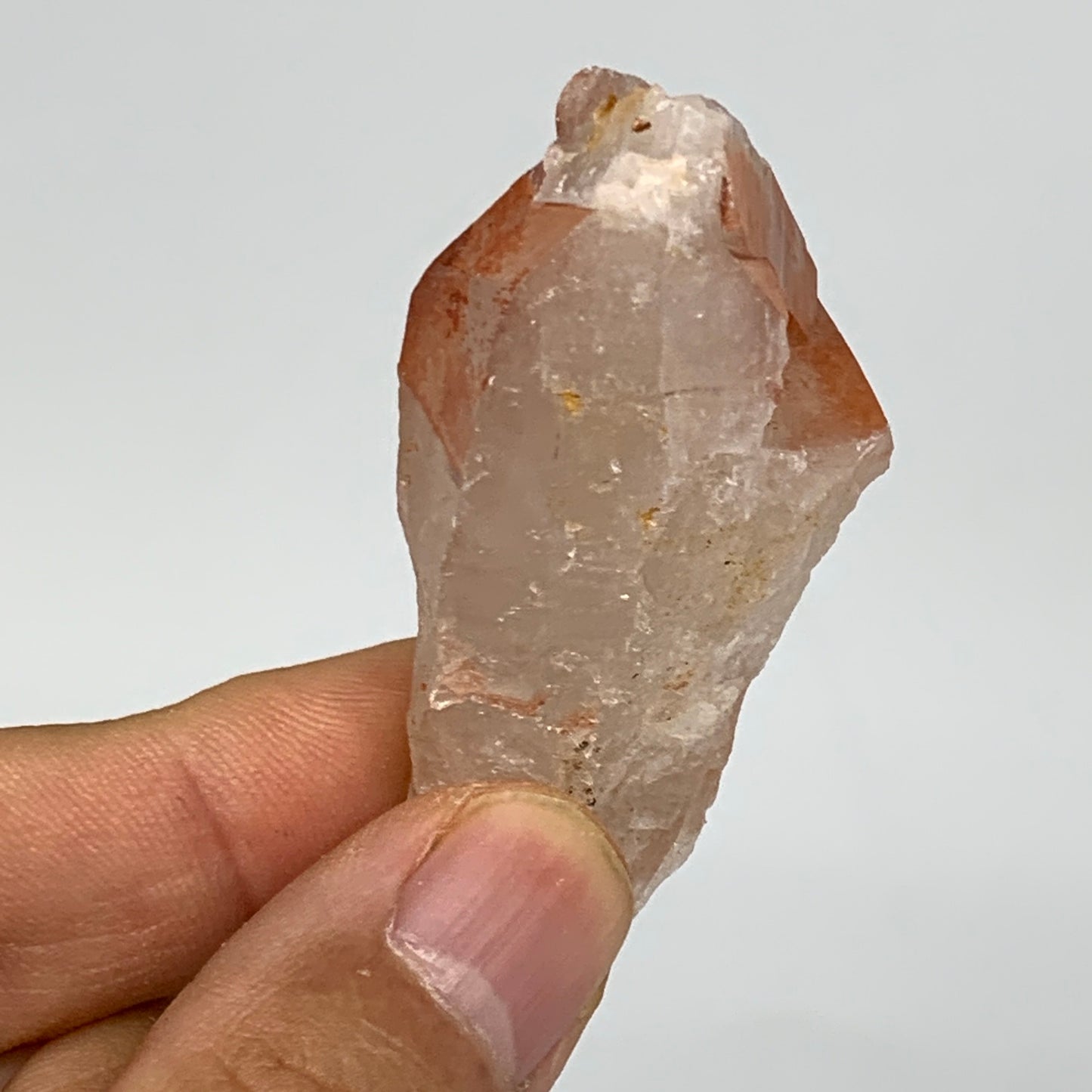 69.3g, 2.2"-2.4", 2pcs, Natural Red Quartz Crystal Terminated @Morocco, B11408