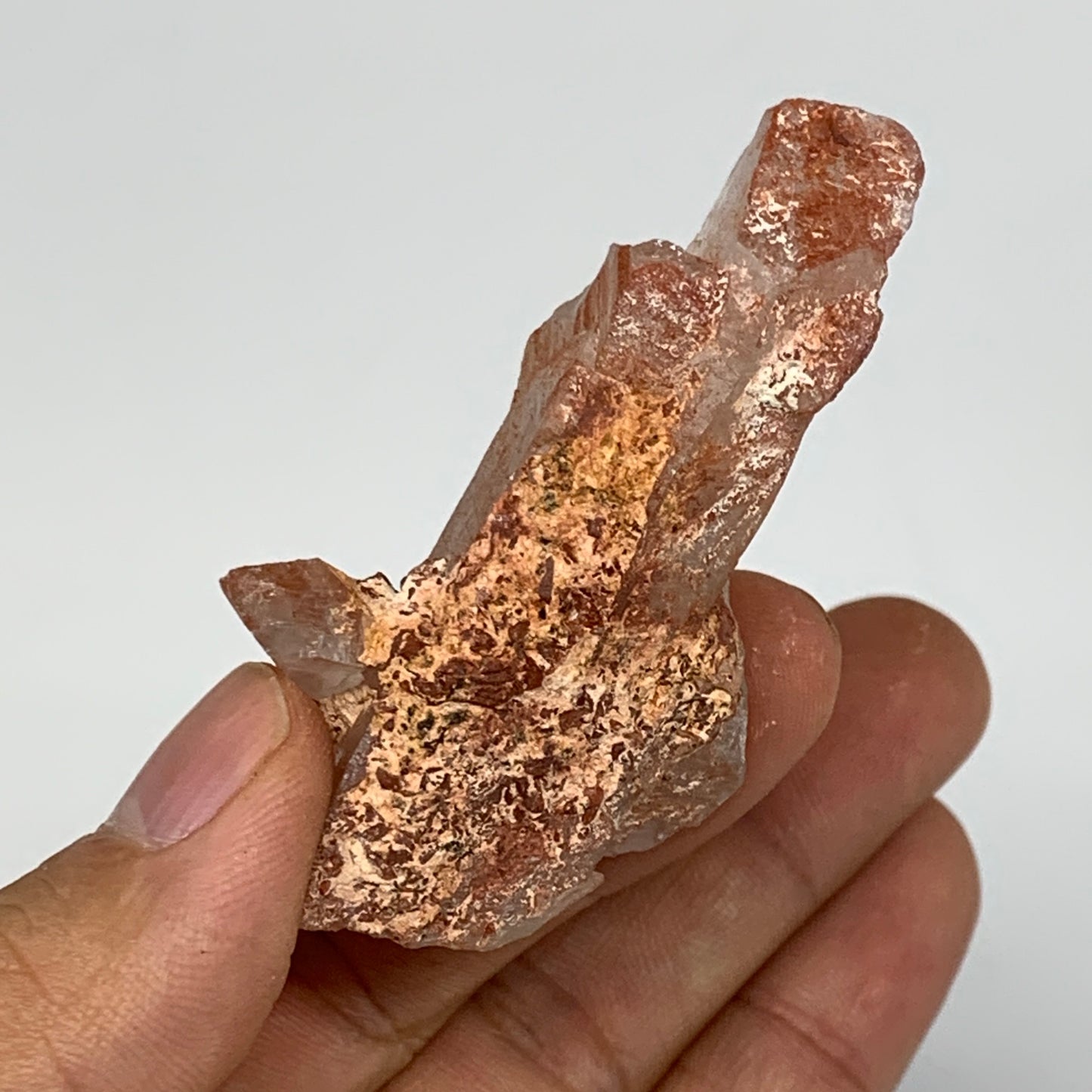 69.3g, 2.2"-2.4", 2pcs, Natural Red Quartz Crystal Terminated @Morocco, B11408