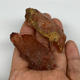 53.7g, 2.3"-2.4", 2pcs, Natural Red Quartz Crystal Terminated @Morocco, B11409