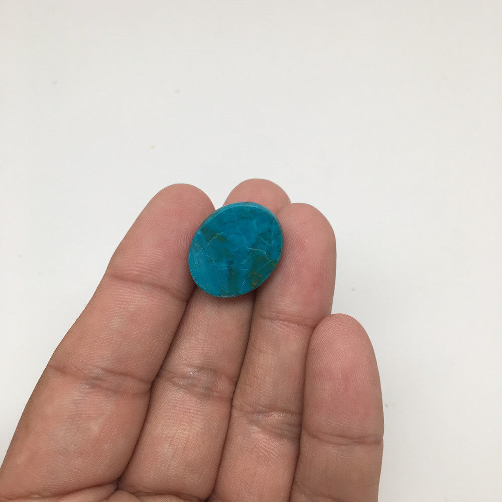 20 cts Natural Oval Shape Chrysocolla Cabochon From Mexico, CC02 - watangem.com