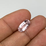 3.38cts, 13mmx6mmx4mm, Kunzite Crystal Facetted Cut Stone @Afghanistan, CTS43