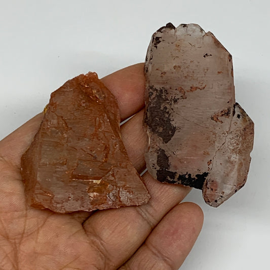 59g, 1.9"-2.7", 2pcs, Natural Red Quartz Crystal Terminated @Morocco, B11412