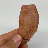53.2g, 2.8"x1.5"x0.8", Natural Red Quartz Crystal Terminated @Morocco, B11424