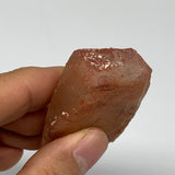 53.2g, 2.8"x1.5"x0.8", Natural Red Quartz Crystal Terminated @Morocco, B11424
