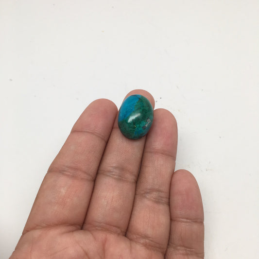 27 cts Natural Oval Shape Flat Bottom Chrysocolla Cabochon From Mexico, CC39 - watangem.com