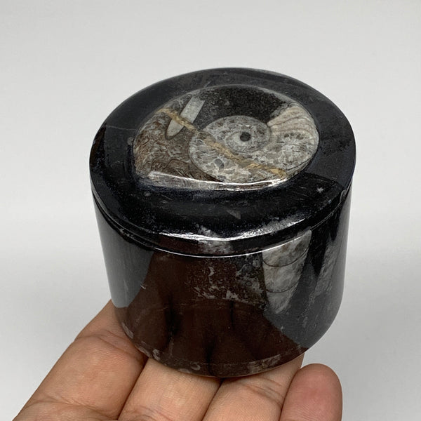 207.5g, 2.1"x2.4" Black Fossils Ammonite Orthoceras Jewelry Box @Morocco,F2527
