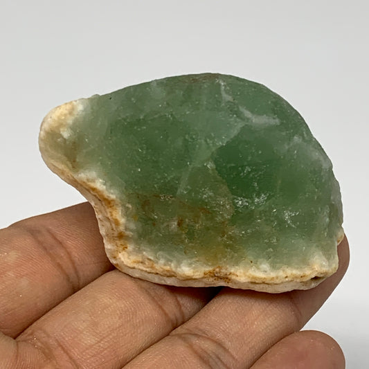 101.7g, 2.3"x1.6"x1.6" Fluorite Tumbled Rough Home Decor @Mexico, B18660