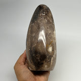 1295g,6.1"x3.3"x2.8" Black Opal Freeform Polished Gemstone @Madagascar,B21043