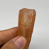 42.8g, 2.5"x0.9"x0.7", Natural Red Quartz Crystal Terminated @Morocco, B11426