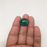 21.5 cts Natural Oval Shape Flat Bottom Chrysocolla Cabochon From Mexico, CC45 - watangem.com