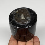 210.9g, 2.3"x2.4" Black Fossils Ammonite Orthoceras Jewelry Box @Morocco,F2530