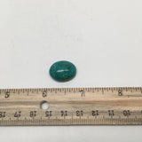 17 cts Natural Oval Shape Flat Bottom Chrysocolla Cabochon From Mexico, CC52 - watangem.com