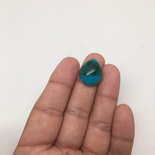 17 cts Natural Teardrop Shape Flat Bottom Chrysocolla Cabochon From Mexico, CC53 - watangem.com
