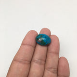 16 cts Natural Oval Shape Flat Bottom Chrysocolla Cabochon From Mexico, CC71 - watangem.com