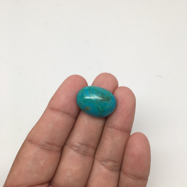17 cts Natural Oval Shape Flat Bottom Chrysocolla Cabochon From Mexico, CC73 - watangem.com