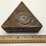 552 Grams Triangular Shape Fossil Ammonite Brown Jewelry Box from Morocco,FM402