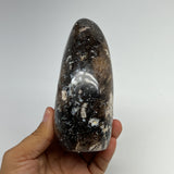565g,4.9"x2.9"x2.1" Black Opal Freeform Polished Gemstone @Madagascar,B21058