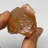 120.6g, 4"x1.7"x1.7", Natural Red Quartz Crystal Terminated @Morocco, B11447