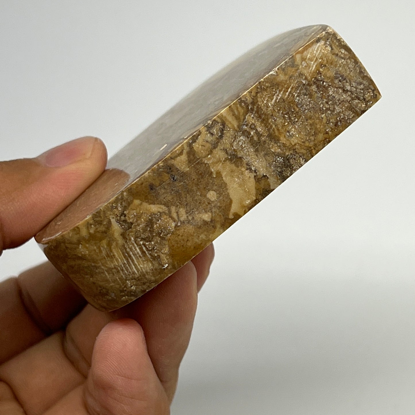 161.3g, 2.6"x2.1"x0.7" Picture Jasper Rectangle Gemstone Home Decor, B20133