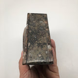 520 Grams Triangular Shape Fossil Ammonite Brown Jewelry Box from Morocco, FM395 - watangem.com