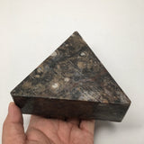 520 Grams Triangular Shape Fossil Ammonite Brown Jewelry Box from Morocco, FM395 - watangem.com