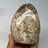 670g,4.6"x3.4"x2.2" Black Opal Freeform Polished Gemstone @Madagascar,B21066