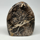 1400g,6.4"x3.8"x2.3" Black Opal Freeform Polished Gemstone @Madagascar,B21067