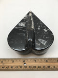 420 Grams Heart Fossils Orthoceras Handmade Black Jewelry Box @Morocco,MF546 - watangem.com