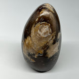 1160g,5"x3.3"x3.1" Black Opal Freeform Polished Gemstone @Madagascar,B21070