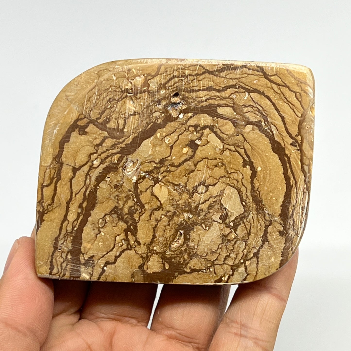 190.2g, 2.9"x2.4"x0.7" Picture Jasper Rectangle Gemstone Home Decor, B20143