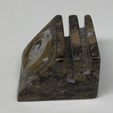 498g, 2.9" x 2.9" x 1.9" Fossils Orthoceras Ammonite Business Card Holder,B7883