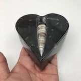 386 Grams Heart Fossils Orthoceras Handmade Black Jewelry Box @Morocco,MF534 - watangem.com