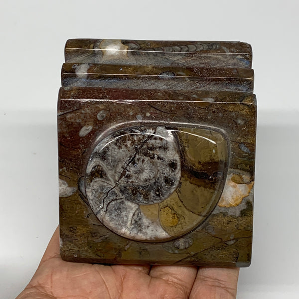 494g, 2.8" x 2.8" x 2" Fossils Orthoceras Ammonite Business Card Holder,B7884