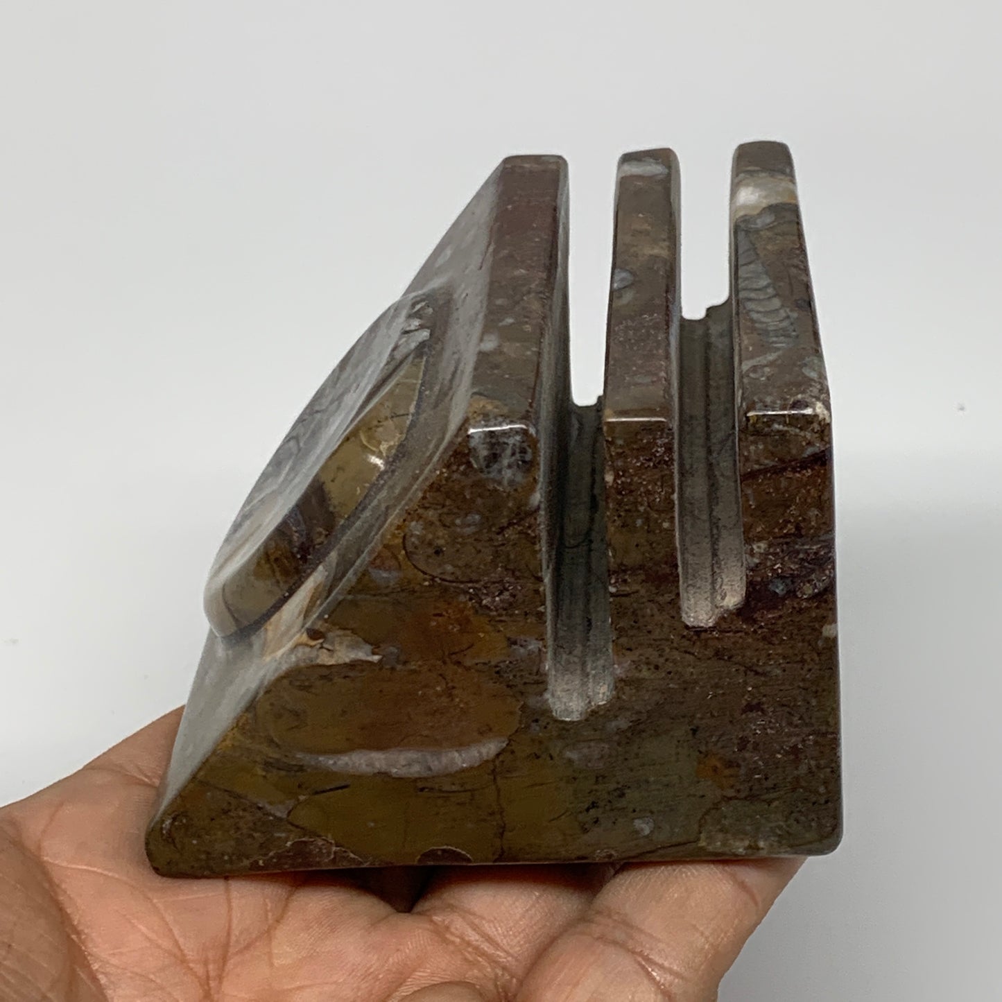 494g, 2.8" x 2.8" x 2" Fossils Orthoceras Ammonite Business Card Holder,B7884