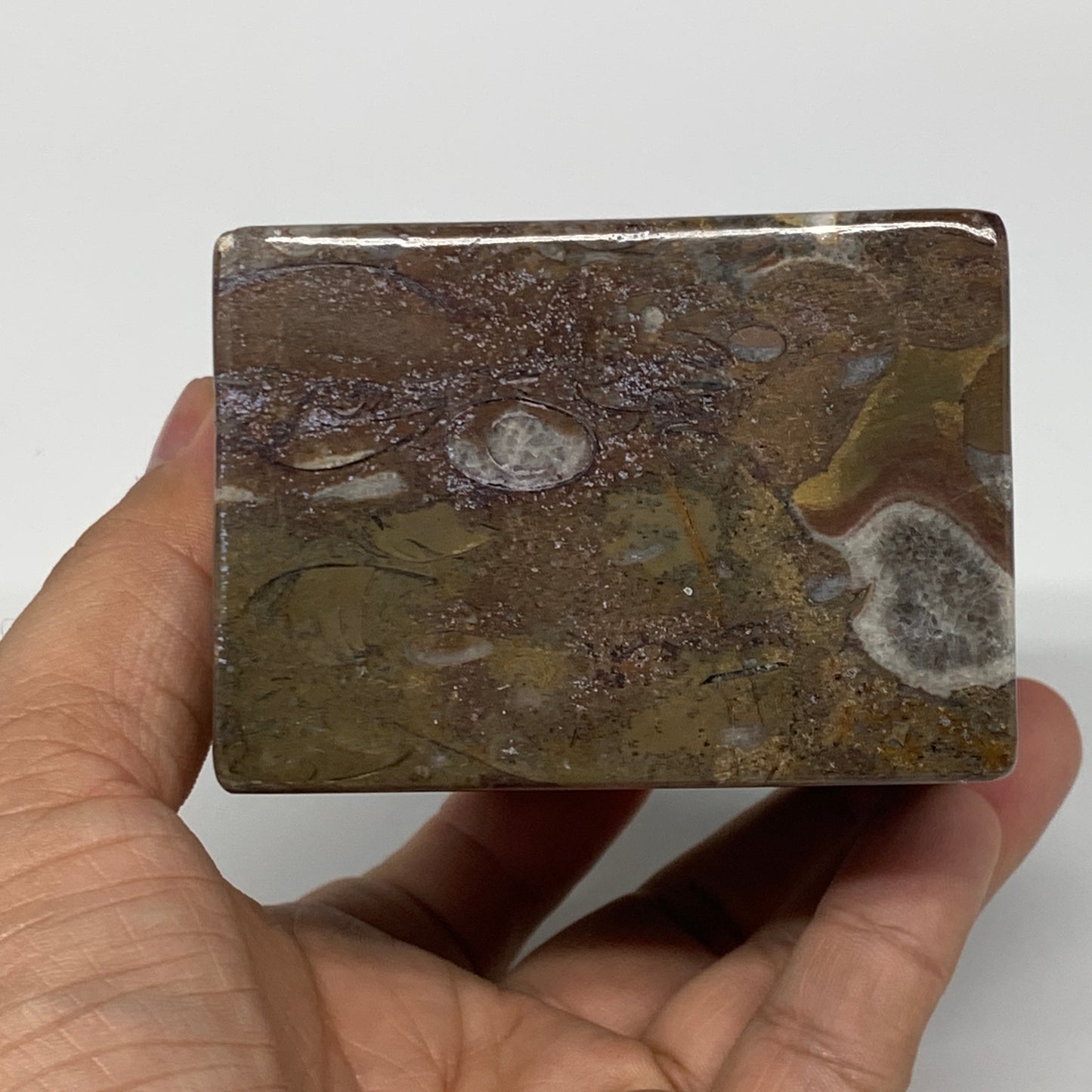 494g, 2.8" x 2.8" x 2" Fossils Orthoceras Ammonite Business Card Holder,B7884