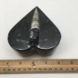 386 Grams Heart Fossils Orthoceras Handmade Black Jewelry Box @Morocco,MF534 - watangem.com