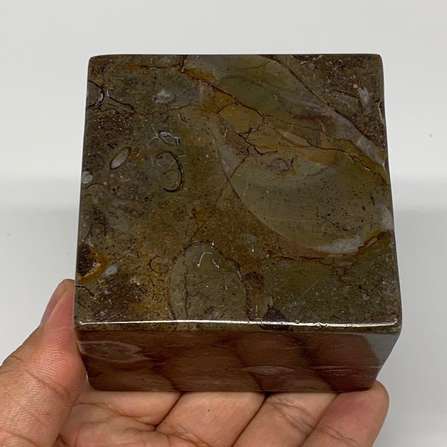 494g, 2.8" x 2.8" x 2" Fossils Orthoceras Ammonite Business Card Holder,B7884
