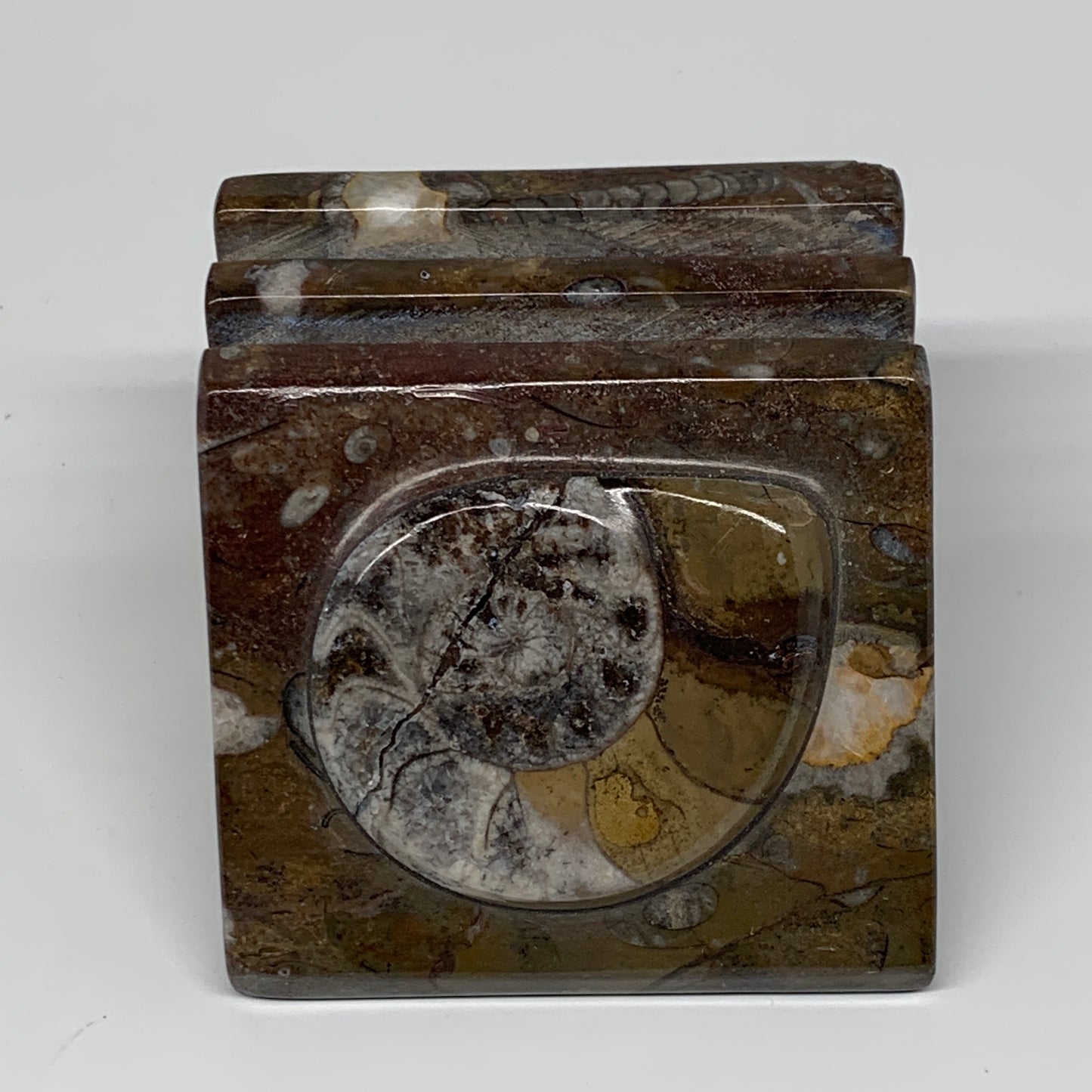 494g, 2.8" x 2.8" x 2" Fossils Orthoceras Ammonite Business Card Holder,B7884