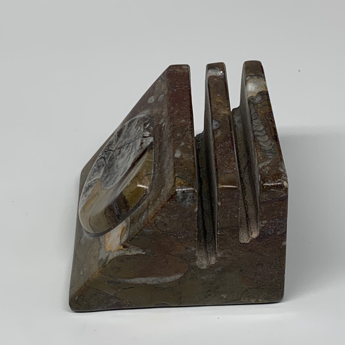 494g, 2.8" x 2.8" x 2" Fossils Orthoceras Ammonite Business Card Holder,B7884