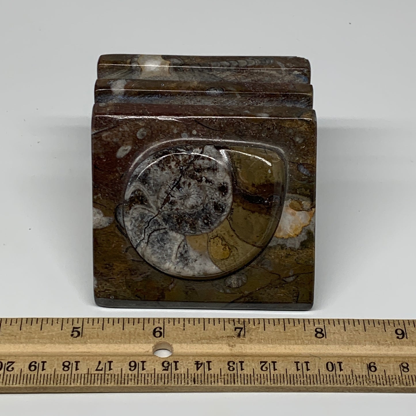 494g, 2.8" x 2.8" x 2" Fossils Orthoceras Ammonite Business Card Holder,B7884