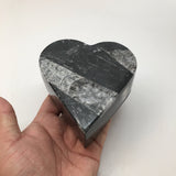 406 Grams Heart Fossils Orthoceras Handmade Black Jewelry Box @Morocco,MF532