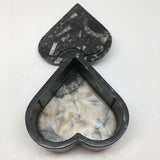 398 Grams Heart Fossils Orthoceras Handmade Black Jewelry Box @Morocco,MF531