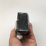 382 Grams Heart Fossils Orthoceras Handmade Black Jewelry Box @Morocco,MF530 - watangem.com